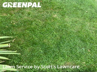 Lawn Service nearby Parma, OH, 