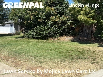 Landscaping Maintenance In Sacramento,95827,Landscapers by Mojica Lawn Care Llc, work completed in Jun , 2026