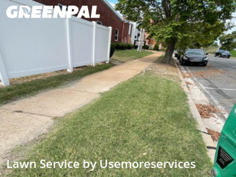 Yard Cutting nearby St. Louis, MO, 