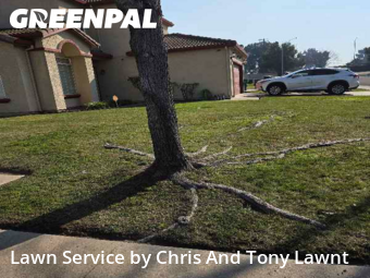 Backyard Landscaping In Stockton,95212,Landscapers by Chris And Tony Lawnt, work completed in Feb , 2026