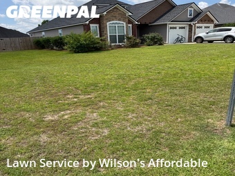 Yard Cutting nearby Valdosta, GA, 
