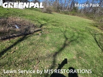 Grass Cut nearby Kansas City, MO, 