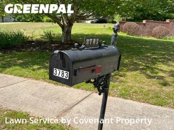 Yard Cutting nearby Douglasville, GA, 