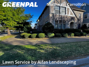 Yard Care in Carrollton, 75010, Garden Trimming by Alfas Landscaping, work completed in Oct , 2025