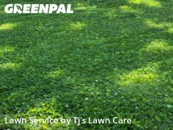 Grass Cut nearby Florissant, MO, 