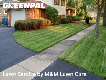 Yard Care in South Holland, 60473, Front Yard Mowing by M&M Lawn Care, work completed in Nov , 2025
