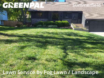 Grass Cut nearby Lenexa, KS, 
