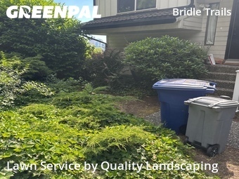 Yard Cutting nearby Bellevue, WA, 