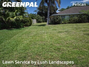 Lawn Cutting nearby Cape Coral, FL, 