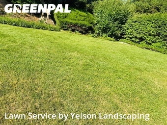 Lawn Cut nearby Towson, MD, 