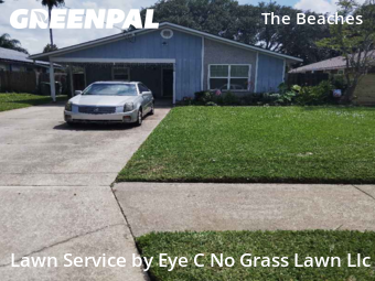 Lawn Carein Jacksonville Beach,32250,Lawn Service by Eye C No Grass Lawn Llc, work completed in Jun , 2026