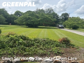 Lawn Mowing nearby Knoxville, TN, 