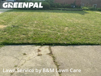 Lawn Service nearby Calumet City, IL, 
