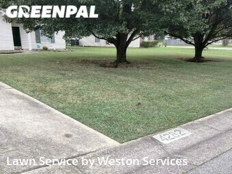 Grass Cutting nearby Bessemer, AL, 