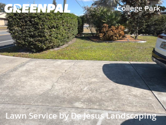 Lawn Cut nearby Orlando, FL, 