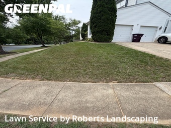 Lawn Cutting nearby Saint Charles, VA, 