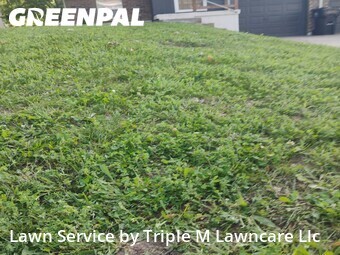 Grass Cutting nearby Independence, MO, 