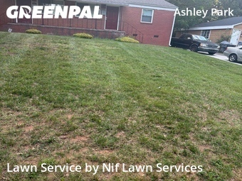 Yard Cutting nearby Charlotte, NC, 