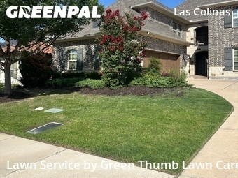Lawn Cut nearby Irving, TX, 
