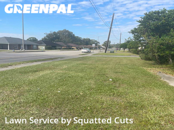 Lawn Care Service nearby Lafayette, LA, 