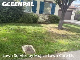 Work completed by grass-cutting-businesses-in-Rocklin-CA
