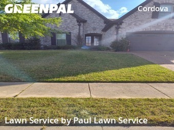 Yard Cutting nearby Shelby County, TN, 