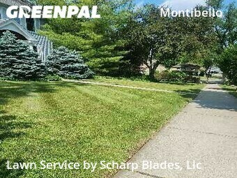 Lawn Cutting nearby Ann Arbor, MI, 