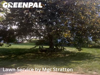 Property Maintenance in Berea, 44017, Lawn Upkeep by Mgc Stratton, work completed in Dec , 2025
