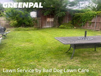 Lawn Cut nearby New Orleans, LA, 