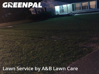 Grass Cut nearby Chattanooga, TN, 