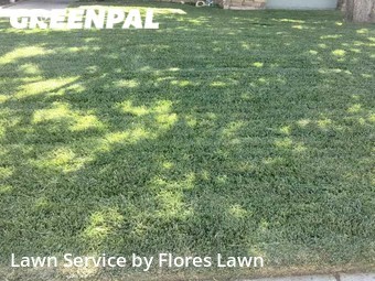 Lawn Service nearby Lancaster, CA, 