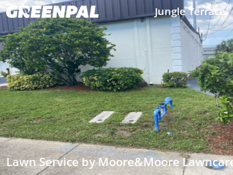 Grass Cut nearby St. Petersburg, FL, 