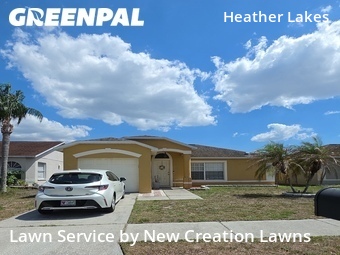 Grass Cut nearby Brandon, FL, 