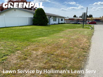 Lawn Cutting nearby Millwood, WA, 