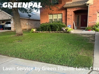 Grass Cut nearby Mc Kinney, TX, 