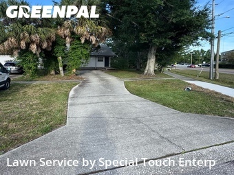 Yard Cutting nearby Oldsmar, FL, 