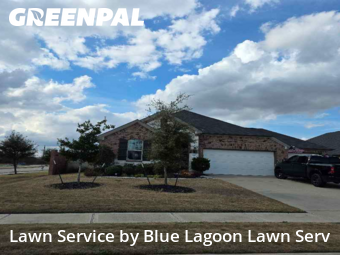 Lawn Cuttingin Rosenberg,77471,Lawn Cut by Blue Lagoon Lawn Serv, work completed in Feb , 2026