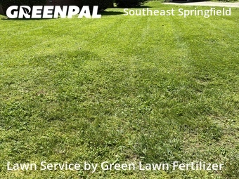 Lawn Cut nearby Springfield, MO, 