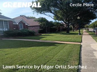 Lawn Cutin Frisco,75035,Yard Cutting by Edgar Ortiz Sanchez, work completed in Dec , 2025