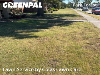 Yard Cutting nearby Plano, TX, 