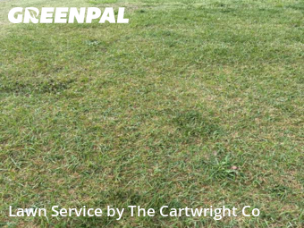 Lawn Mowing nearby Sanford, NC, 