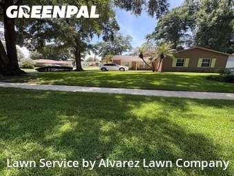 Yard Cutting nearby Altamonte Springs, FL, 