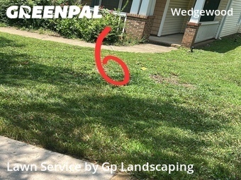 Yard Cutting nearby Charlotte, NC, 