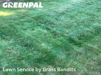 Lawn Service nearby Billings, MT, 
