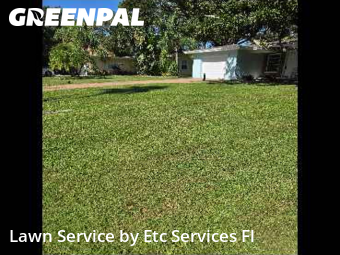 Lawn Cuttingin Dunedin,34698,Grass Cutting by Etc Services Fl, work completed in Dec , 2025