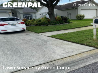 Lawn Mow nearby Tampa, FL, 