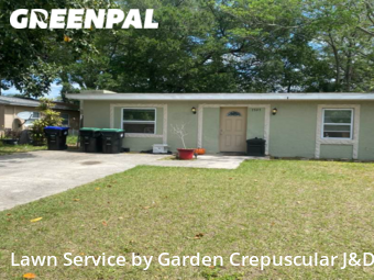 Grass Cut nearby Orlando, FL, 