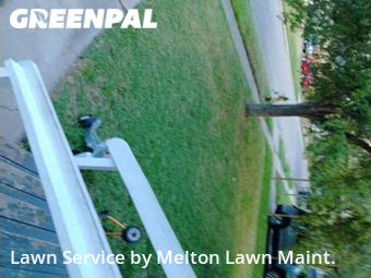 Grass Cut nearby Corpus Christi, TX, 