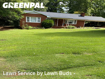 Yard Cutting nearby Charlotte, NC, 