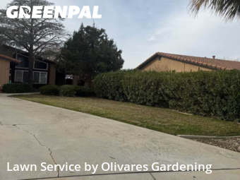 Landscaping Maintenance In Lancaster,93536,Landscape Design by Olivares Gardening , work completed in Jan , 2026